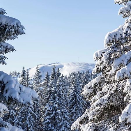 Waldtwin 2 Titisee Exteriér fotografie