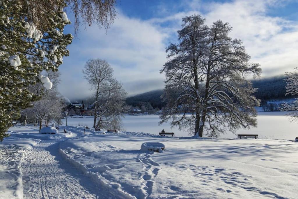 Waldtwin 2 Titisee Exteriér fotografie